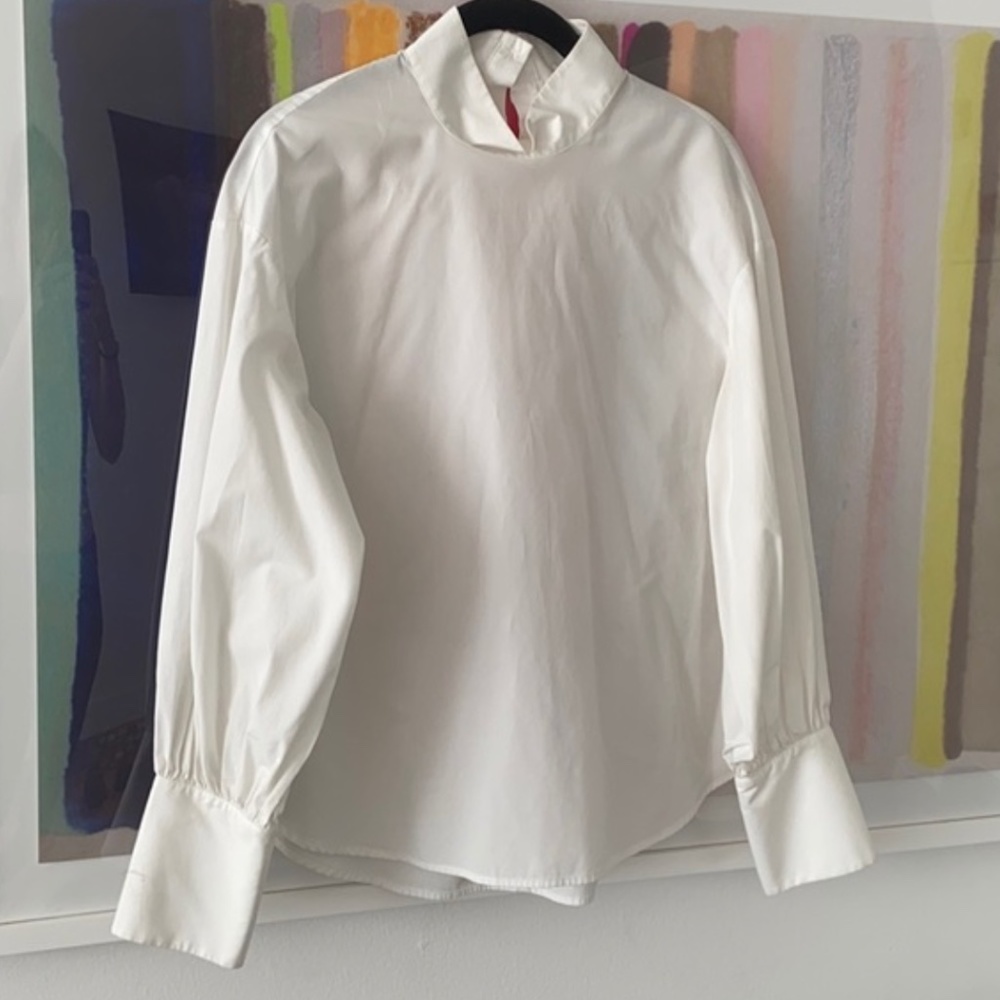 Aritzia mock neck puff bell sleeves